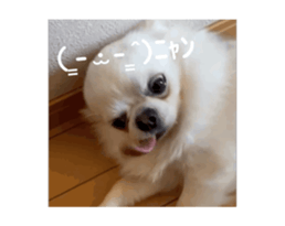 744091245
