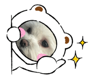 744115580