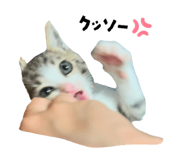 744125677