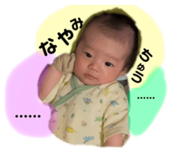 744130666