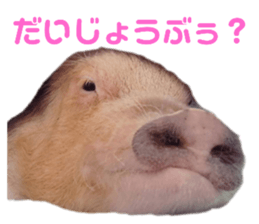 744154153