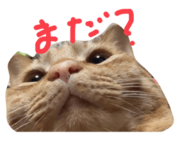 744159012