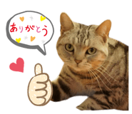 744179974