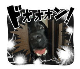 744238557