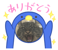 744239190