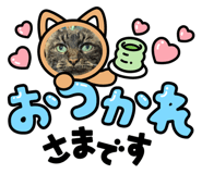 744239194