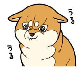 744243846