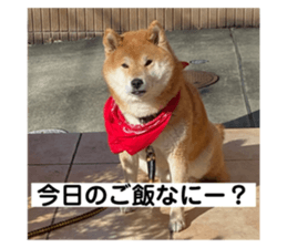 744264414