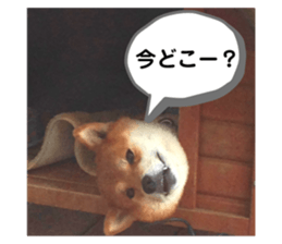 744264417