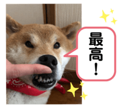 744264426