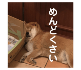 744264443
