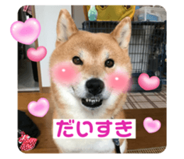 744264445