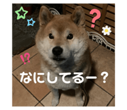 744264446