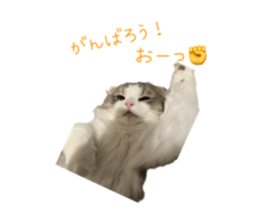 744268883