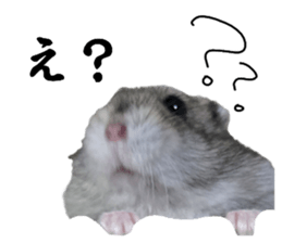 744269083