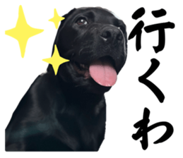 744269536
