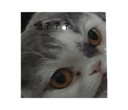 744273399