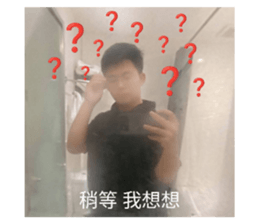 744284117
