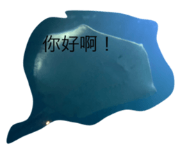744284381