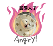 744289967