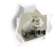 744289971