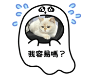 744289973