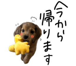 744305070