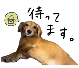 744305071