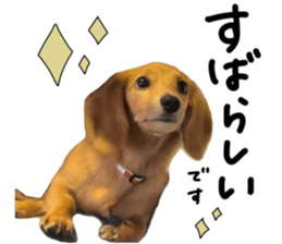 744305083