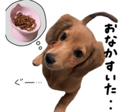 744305090