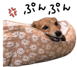 744305096