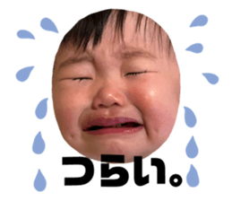 744305566