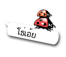 7443136