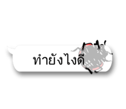 7443153