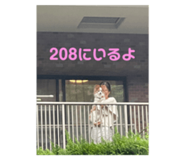 744318288