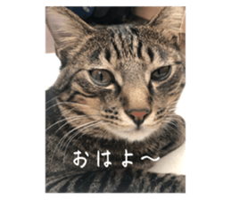 744345766