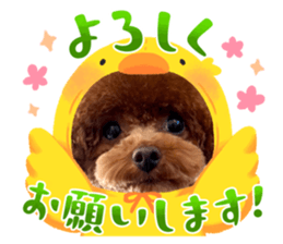 744345857