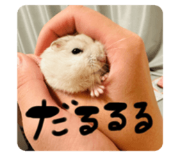 744346030