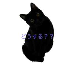 744358620