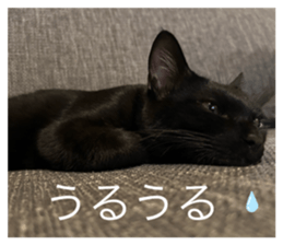 744358627