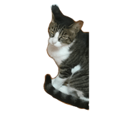 744358668