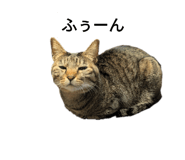 744376330