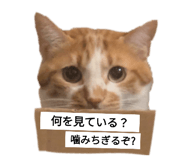 744376331
