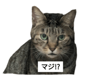 744376333