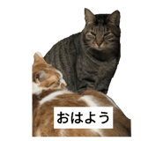 744376334