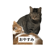 744376335