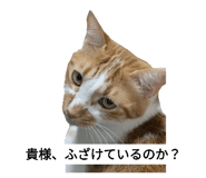 744376336