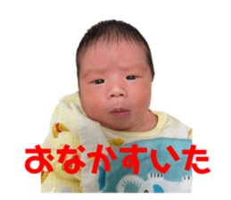 744388427