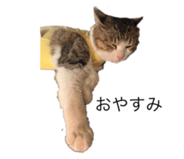 744402445