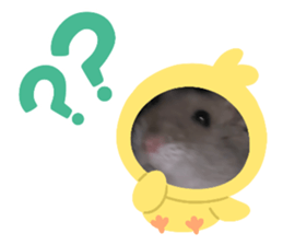 744403845